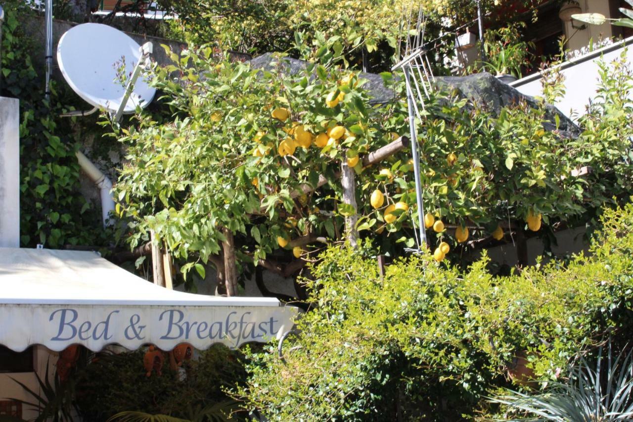 Bed & Breakfast Casa Anna Rita Vietri Exterior foto